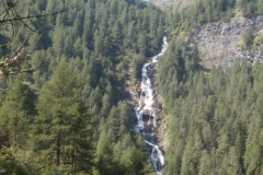 P7191828