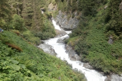 P7191839
