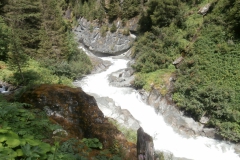 P7191840