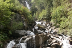 P7191845