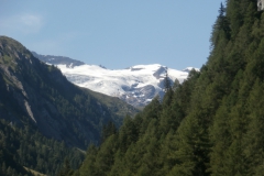 P7191887