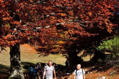 DSCN5078