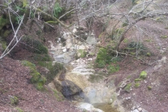 20160228_113839