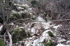 20160228_122414