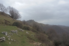 20160228_141257