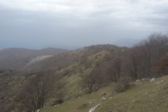 20160228_142633