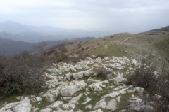 20160228_143520