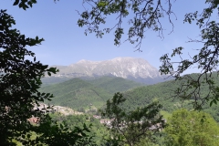 20190615_115239