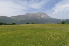 20190615_133614