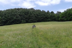 20190615_135625