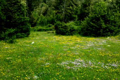 2016-05-29 20.27.06