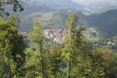 Tieli