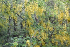 20160508_110253