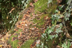 PB123477