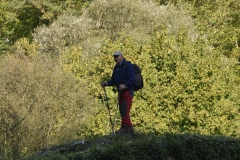 _DSC4611 (Copia)