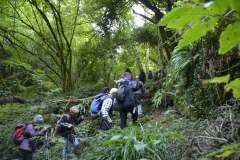 _DSC4624 (Copia)