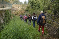 _DSC4818 (Copia)
