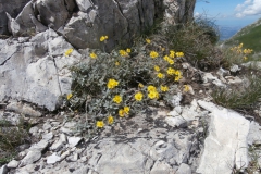 P6240367