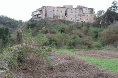 20190317_121451