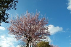 20190317_154835