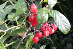 IMG_20191110_123211