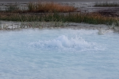 IMG_20191110_150414
