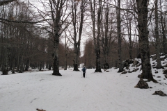 IMG_20230225_095836