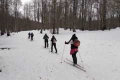 IMG_20230225_102631