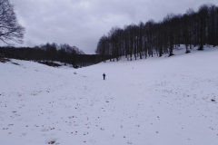 IMG_20230225_110413