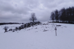 IMG_20230225_110638
