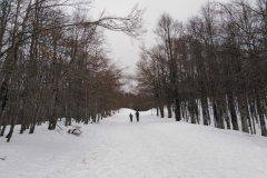 IMG_20230225_114458