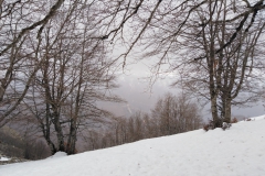 IMG_20230225_120458
