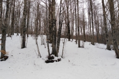 IMG_20230225_120622