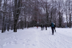 IMG_20230128_103423