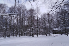 IMG_20230128_103948