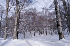 IMG_20230128_104423