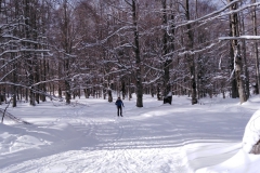 IMG_20230128_104439