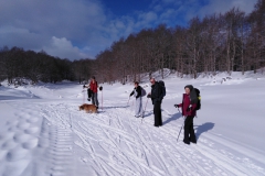 IMG_20230128_110229