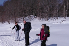 IMG_20230128_110229a
