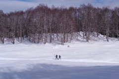 IMG_20230128_110655