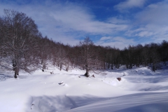 IMG_20230128_112006