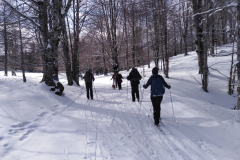 IMG_20230128_112538