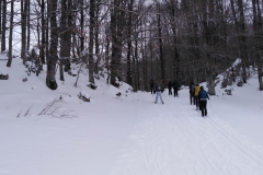 IMG_20230128_122041