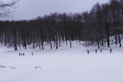 IMG_20230128_122303
