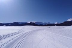 IMG_20230211_104735