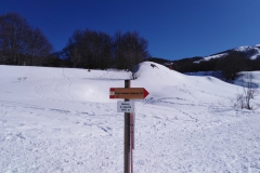 IMG_20230211_132136