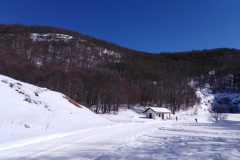 IMG_20230211_133418