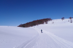 IMG_20230211_140340