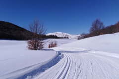 IMG_20230211_141636