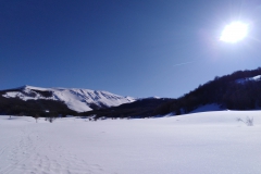 IMG_20230211_145149